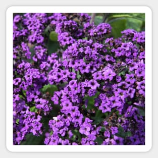 Whimsical purple Flowers Photo Sticker